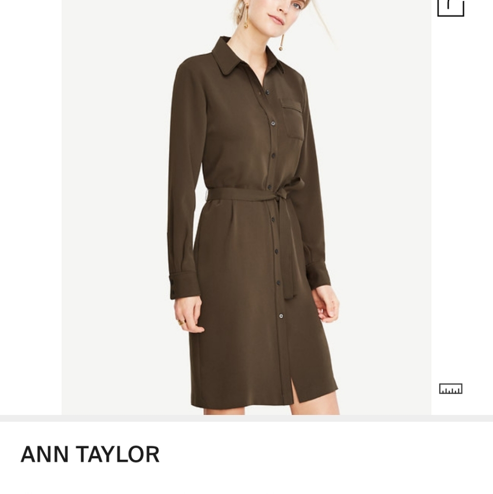Ann Taylor  New Shirtdress